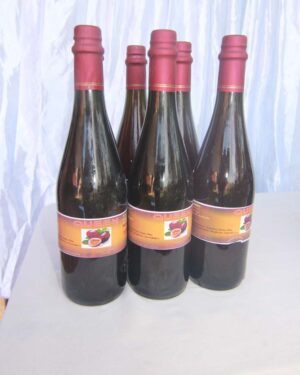 Hisa Wine